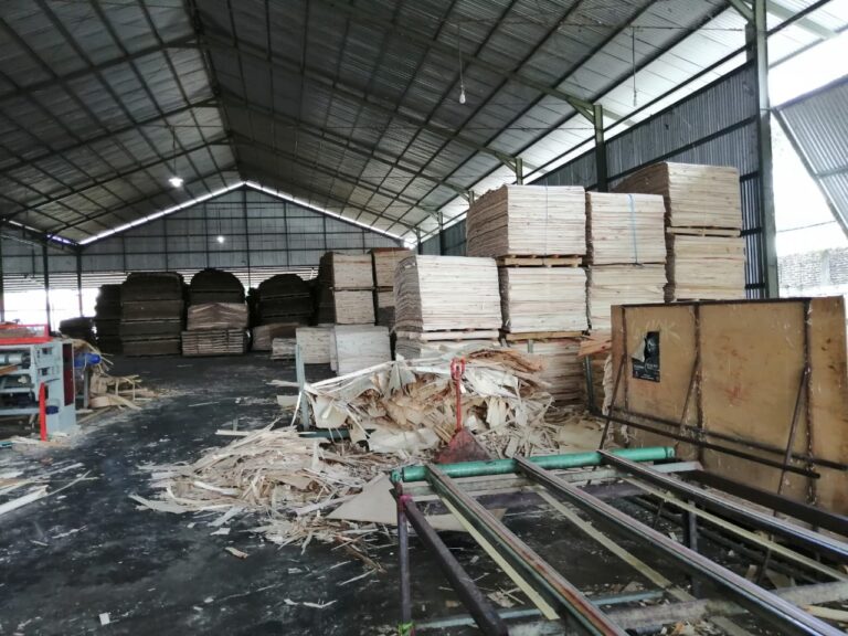 DPR RI Minta BUMN Perkebunan Bantu Bahan Baku Industri Plywood