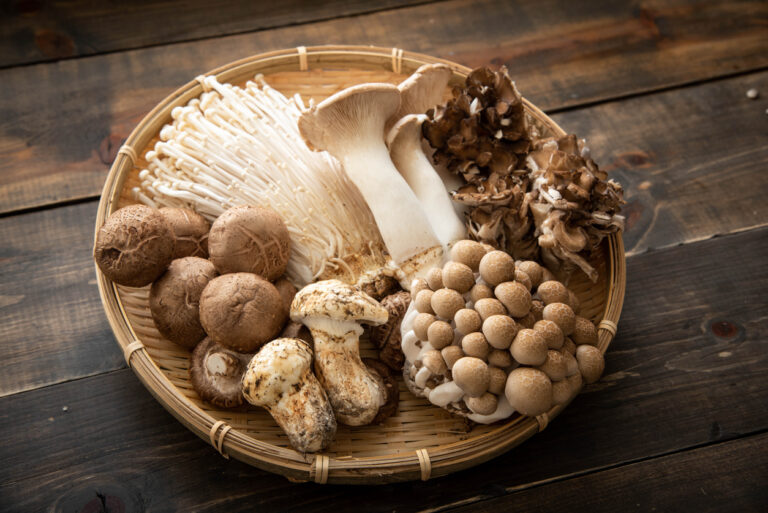 Mushrooms: How To Maintain A Healthy Body, Mind, And Spirit