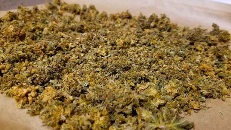 Can Weed Dehydrate You? 