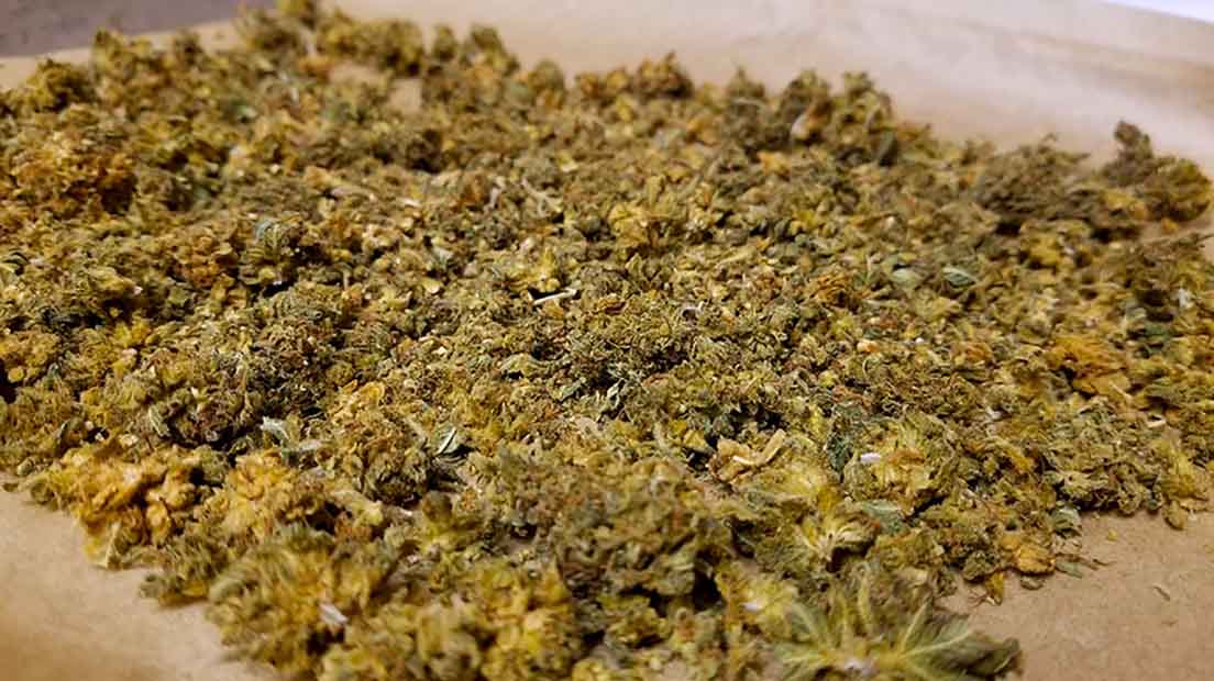 Can Weed Dehydrate You?