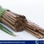 Dry Coconut Leaves Based Biodegradable Straw Manufacturing Plant Project Report 2024: Market Trends and Cost Analysis