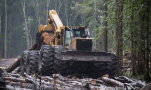 Forestry Tire Market Size, Share & Report Analysis 2032