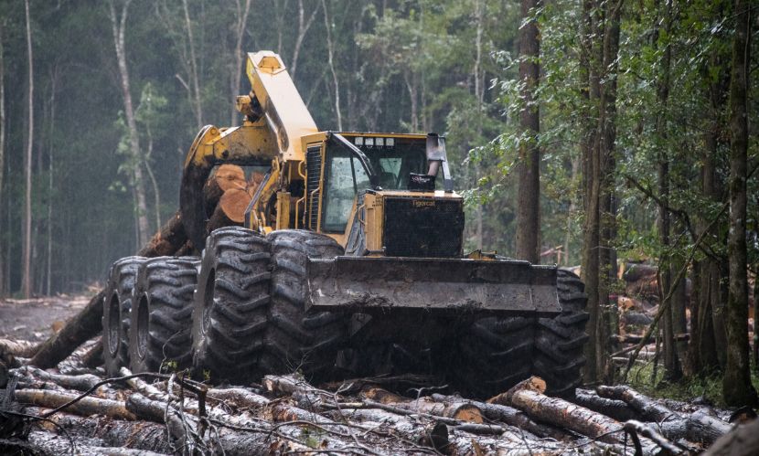 Forestry Tire Market