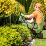 7 Landscaping Mistakes Homeowners Should Avoid