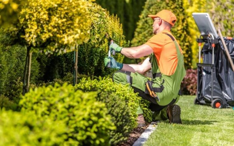 7 Landscaping Mistakes Homeowners Should Avoid