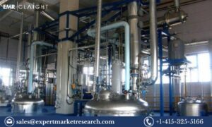 Polyvinyl Acetate Manufacturing Plant Project Report