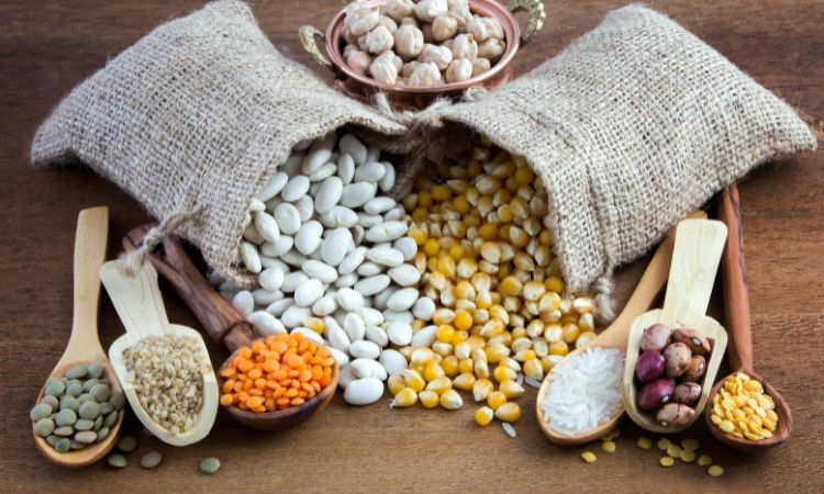 Pulses Market Size, Industry Share & Forecast 2032