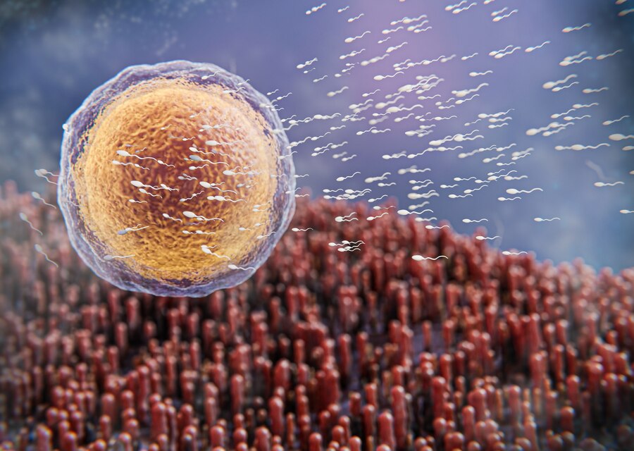 Understanding Parasitic Infections Causes, Symptoms, and Treatment