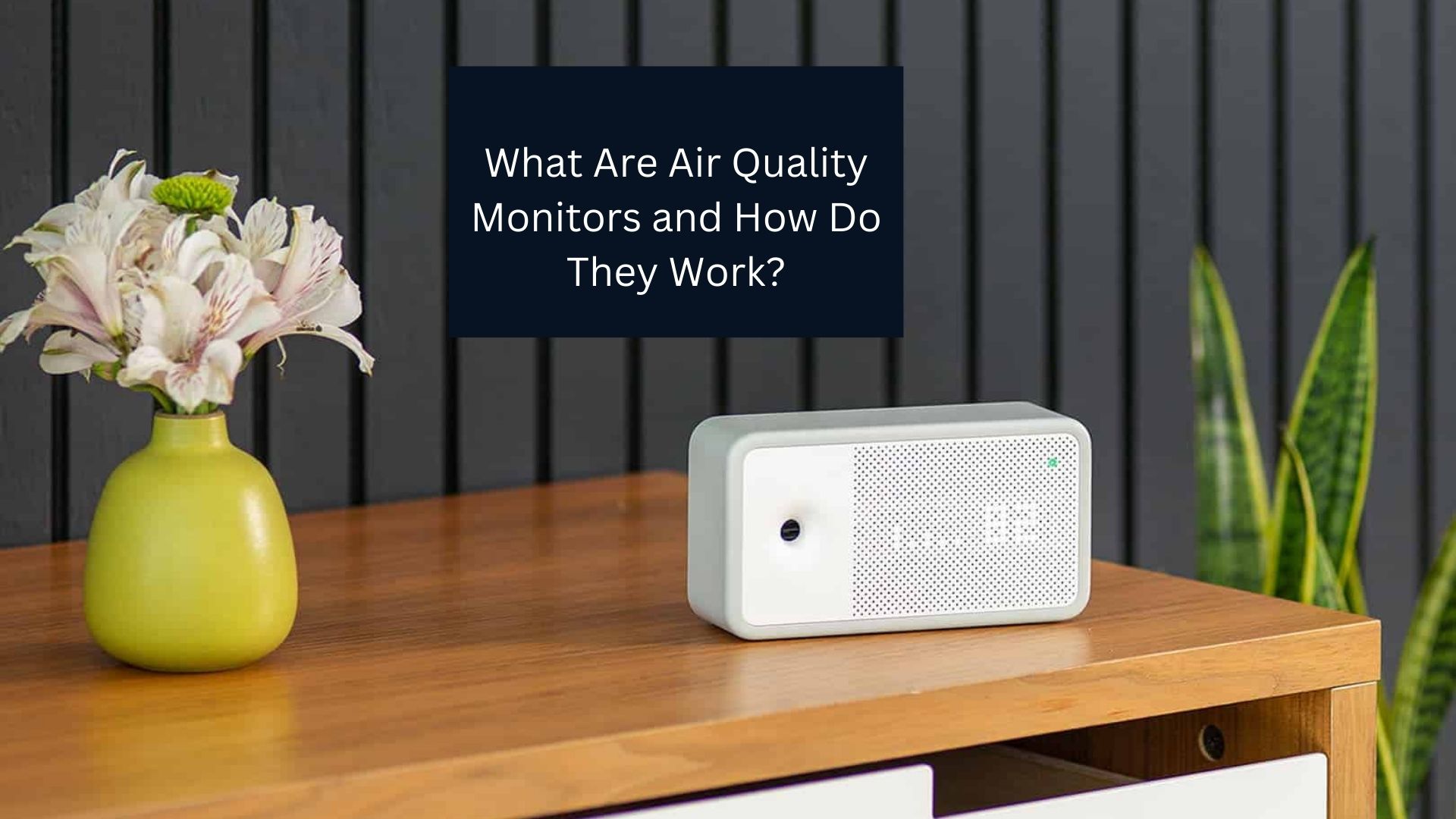 What Are Air Quality Monitors and How Do They Work