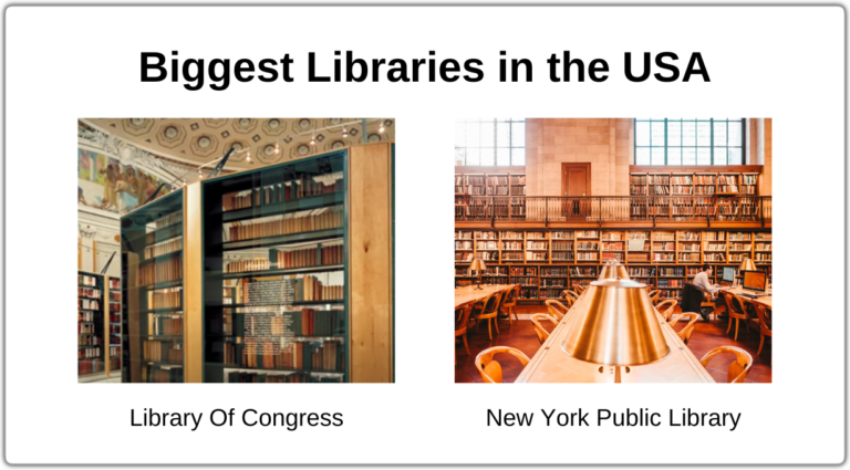 Top 7 Biggest Libraries in the USA You Should Know About