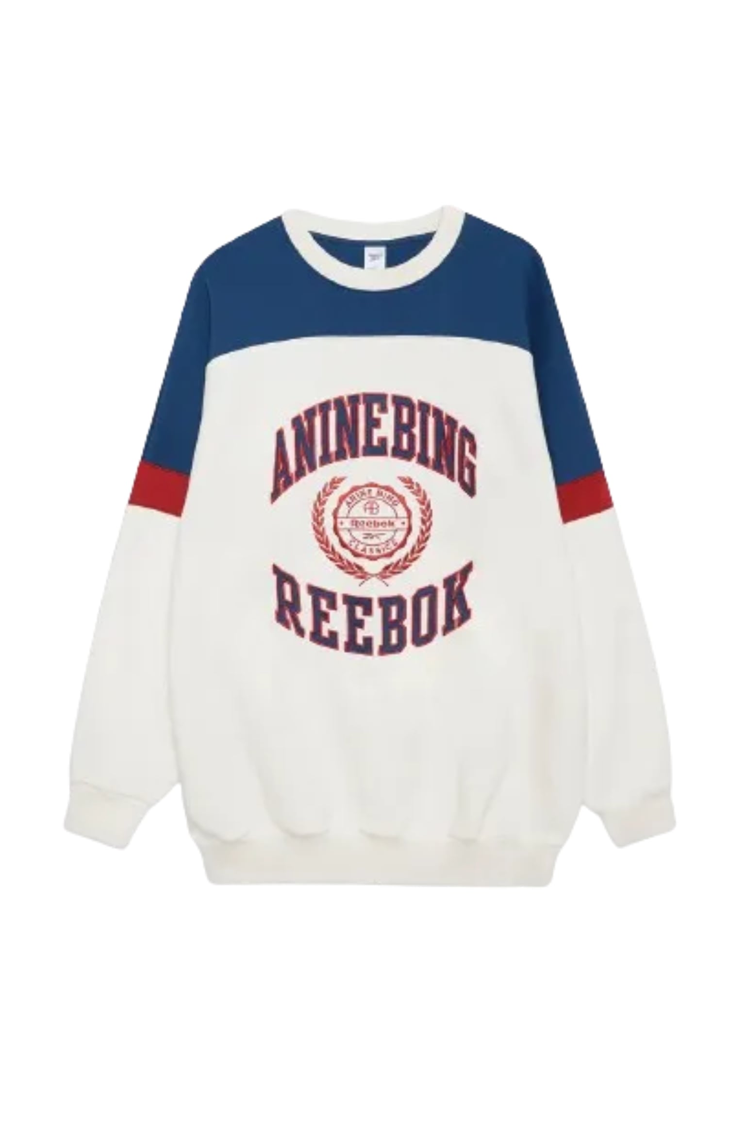 Anine Bing Reebok Sweatshirt