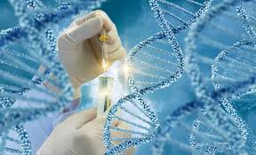 Global Genetic Testing Market Size And Forecast Report 2024-2030