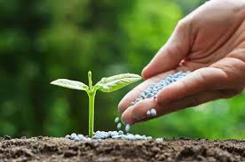 Global Fertilizer Market Size And Forecast Report 2024-2030