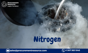 Nitrogen Production Cost Reports: Key Insights for Competitive Industries