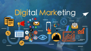 Digital Marketing Insights