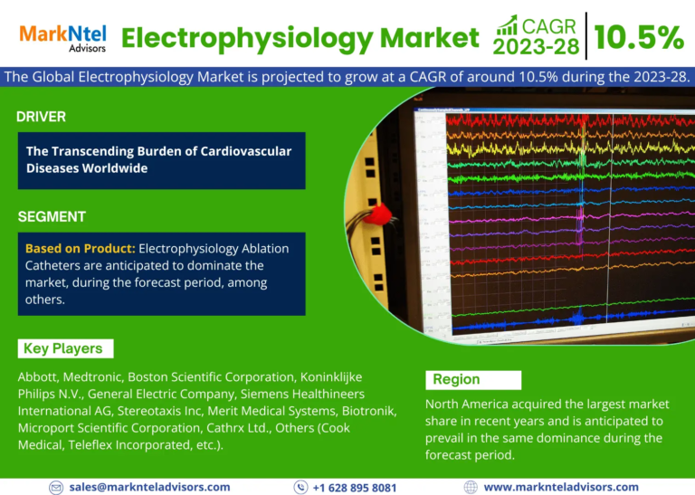 Global Electrophysiology Market Recent Trends, In-Depth Analysis, Industry Share, Size and Forecast 2023 To 2028