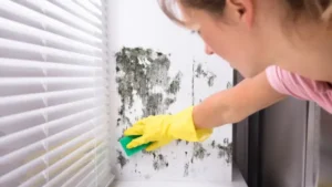 mold air duct cleaning