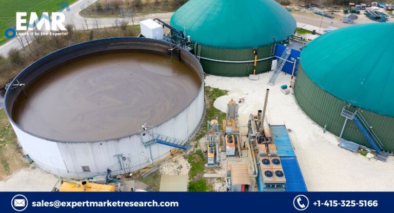 Biogas Market 2025-2033: Key Drivers, Trends, and Growth Opportunities