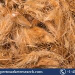 Coco Coir Market Trends, Size, Share and Industry Report | 2034