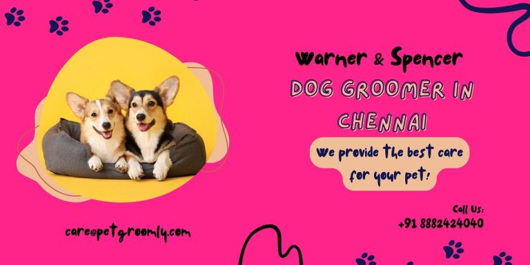 Why Choosing the Right Dog Groomer in Chennai is Key to Your Pet’s Health and Happiness