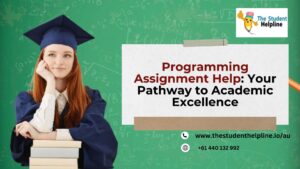 Programming Assignment Help: Your Pathway to Academic Excellence