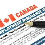 A Detailed Overview of Canada’s Employment Insurance