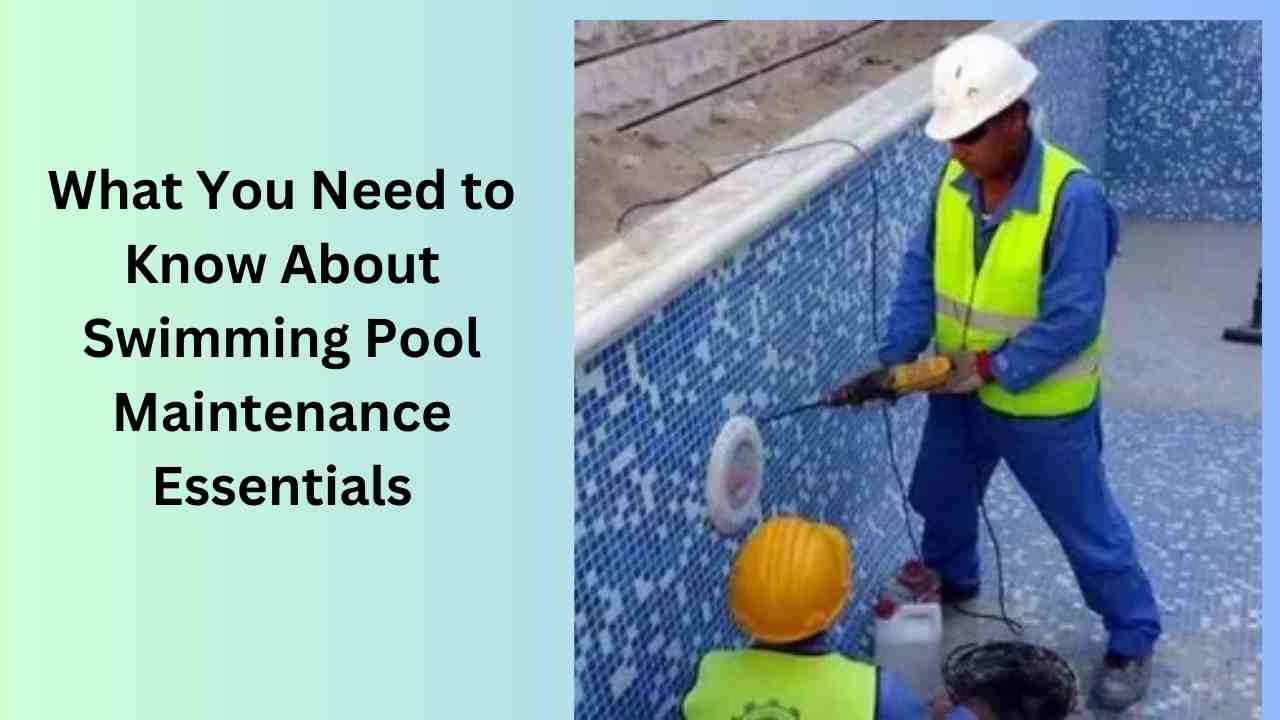 What You Need to Know About Swimming Pool Maintenance Essentials