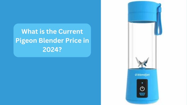 What is the Current Pigeon Blender Price in 2024?