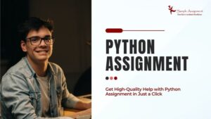 Get High-Quality Help with Python Assignment in Just a Click