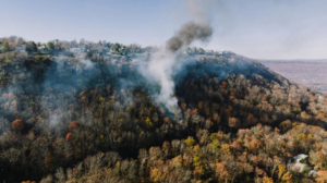 Franklin Fire Mengamuk, Puluhan Ribu Warga Malibu Dievakuasi