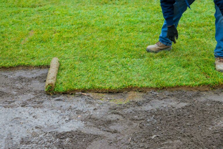 How to Fix Sod Seams and Gaps After Installation