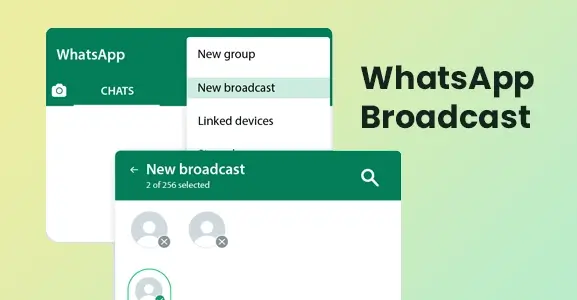 broadcast messages on WhatsApp