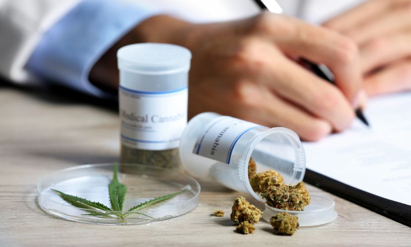 Medical Cannabis Market