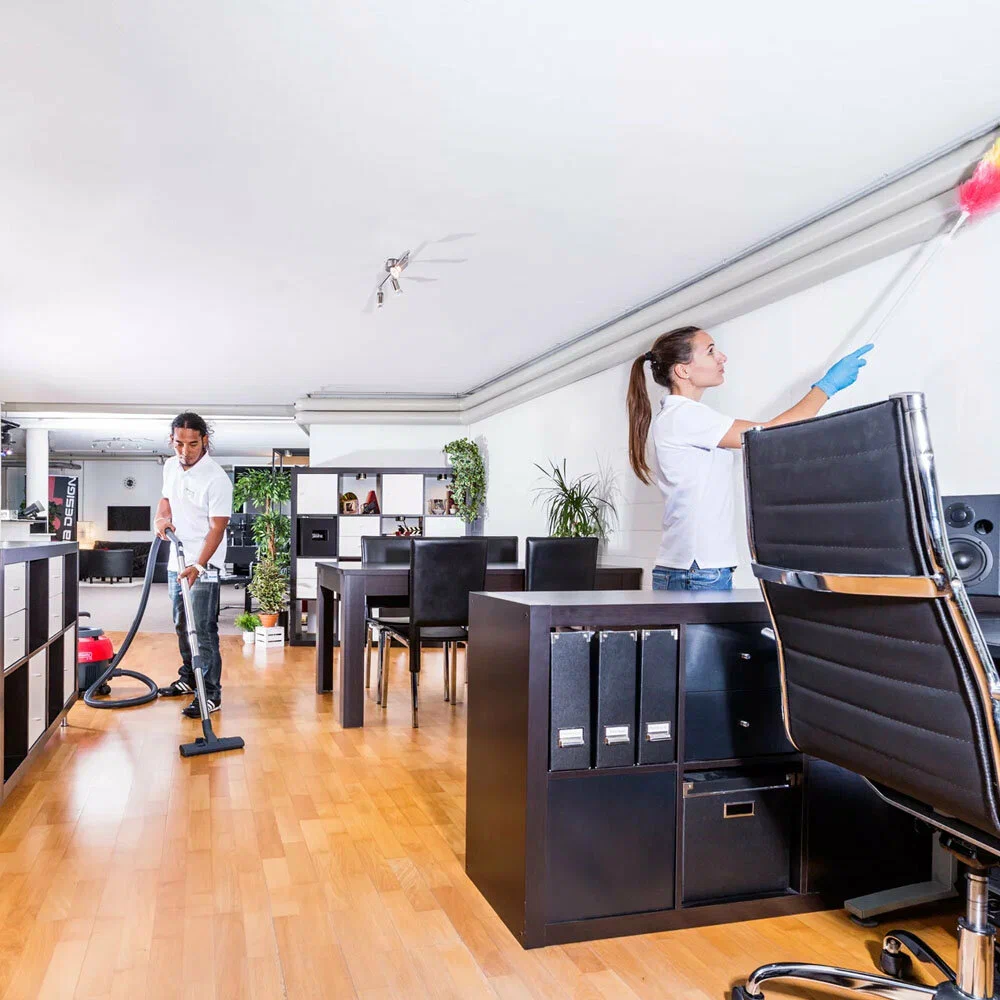 Professional cleaners and service providers