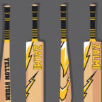 Guide to Cricket Bat Stickers: Customization, Design, and Printing