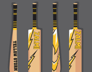 Guide to Cricket Bat Stickers: Customization, Design, and Printing