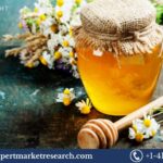 Honey Powder Market 2025-2034: Size, Trends, Growth, Segmentation, and Key Players