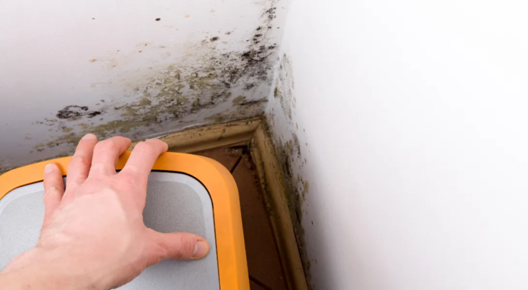 How Mold Testing in Redondo Beach and Indoor Air Quality Assessments Can Transform Your Home’s Health