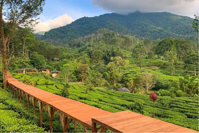 Komitmen Tinggi PTPN I Dalam Menjaga Kelestarian Alam Wilayah Agrowisata Gunung Mas