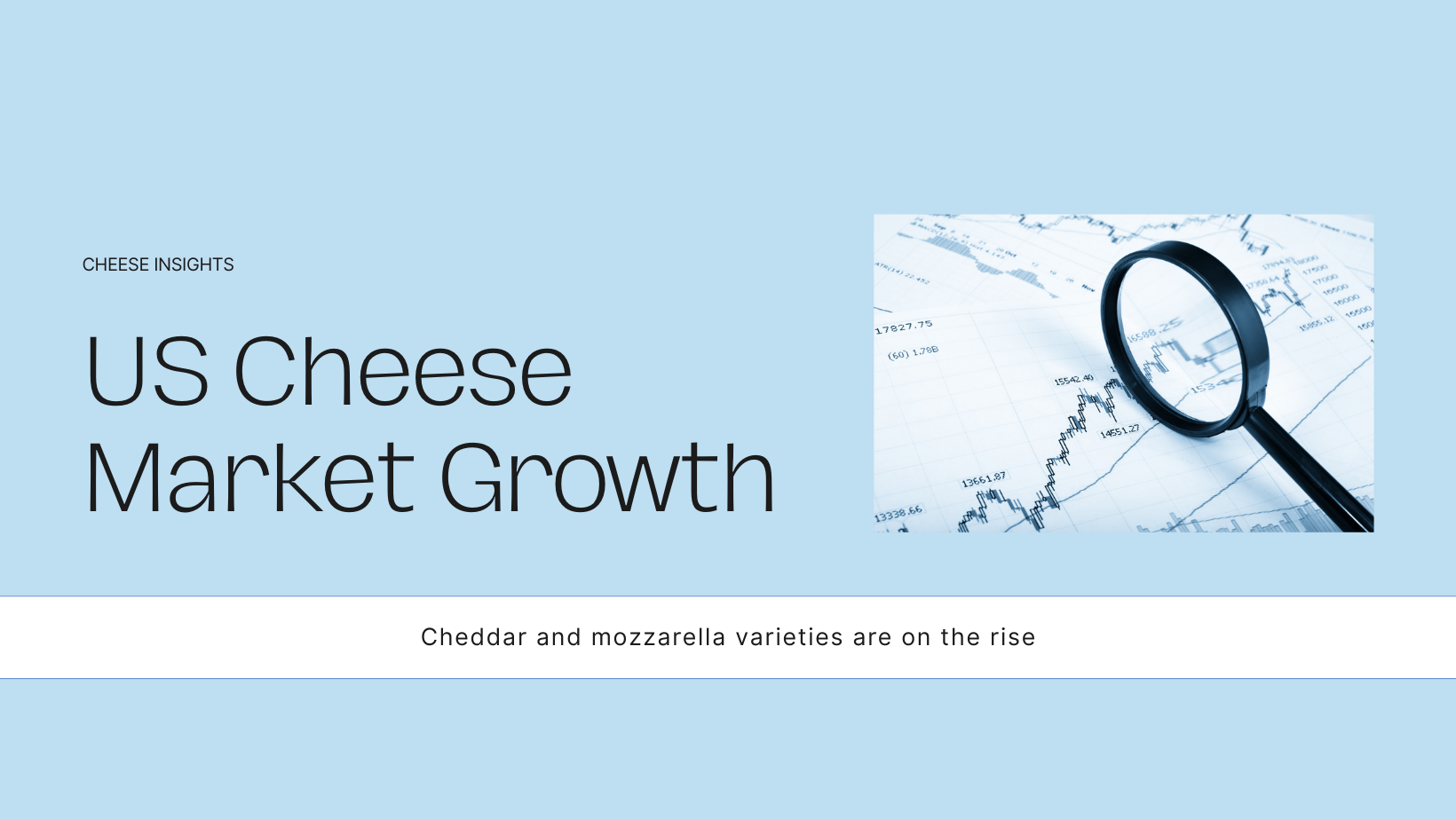 United States Cheese Market