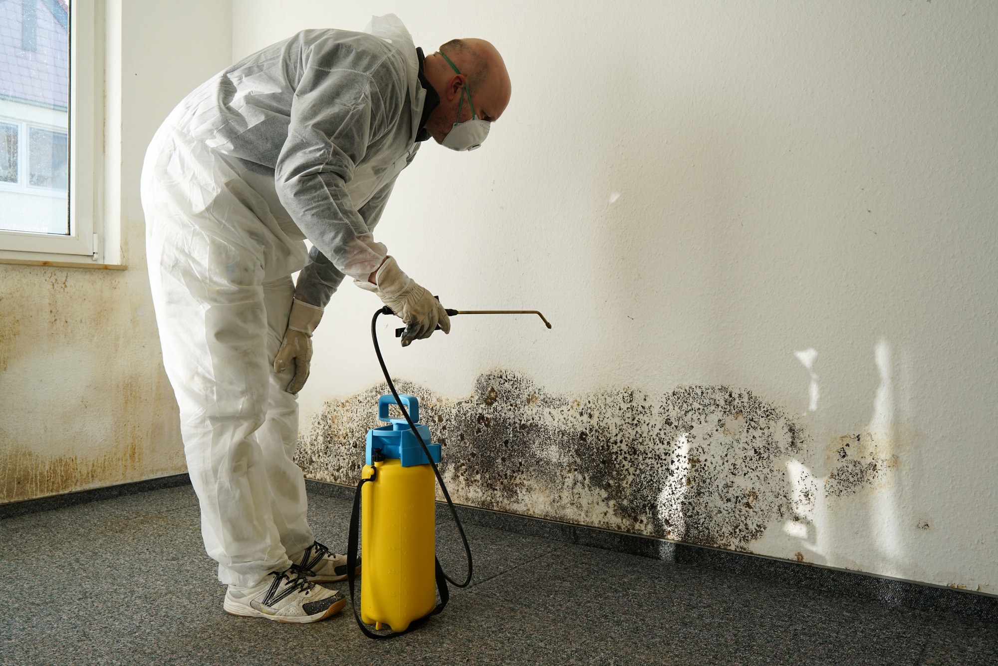 water damage service