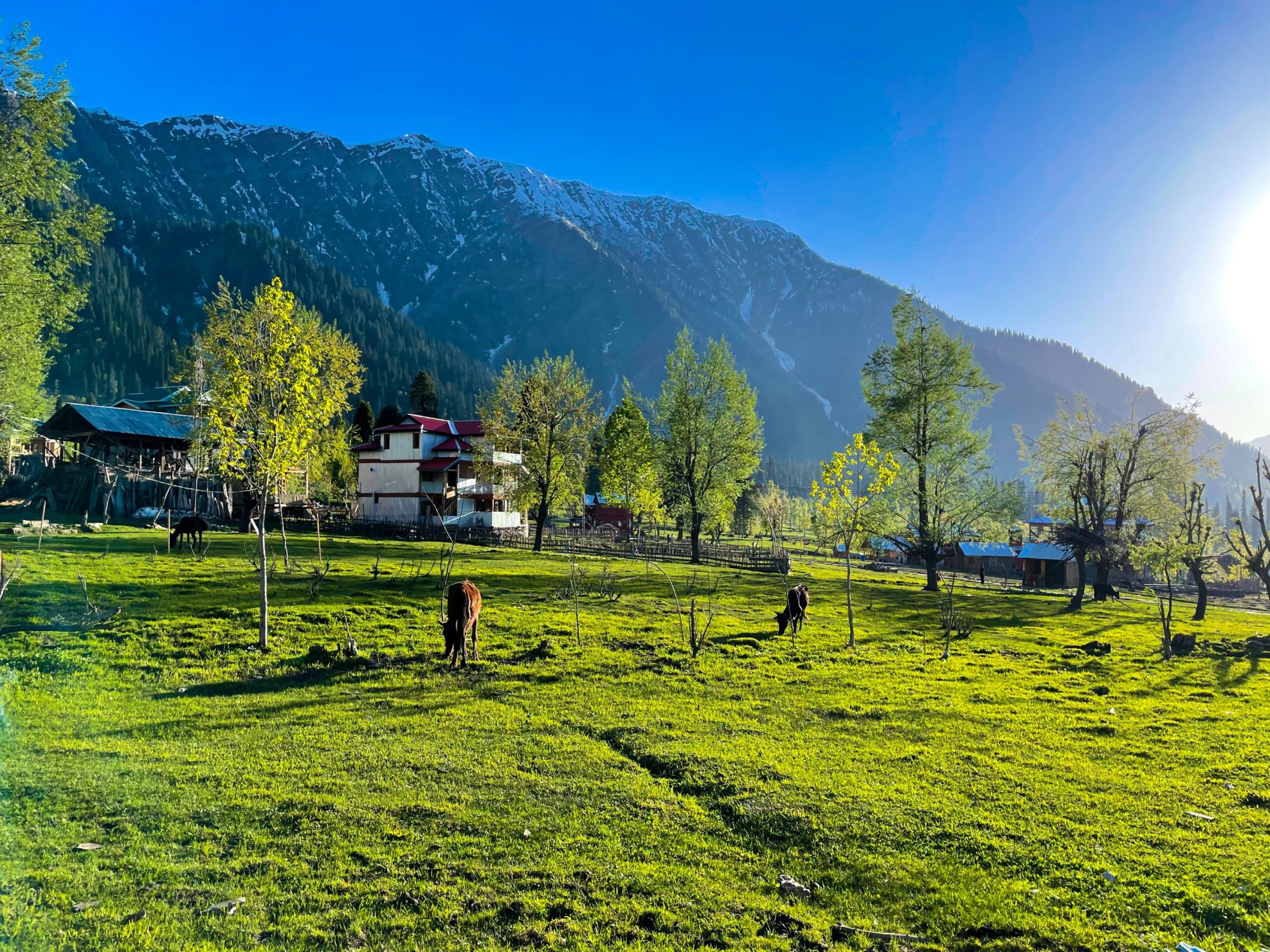 https://ghoomophirro.pk/tours/?location_name=Skardu&location_id=9912