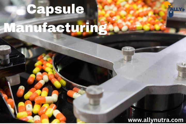 Your Path to Premium Wellness Products Starts with Expert Capsule Manufacturing