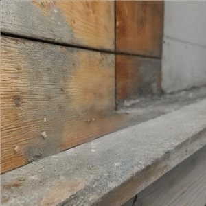 Why Mold Testing in Rolling Hills Is Essential for Property Health