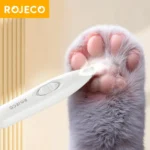 🐾 ROJECO.co.uk: A Comprehensive Look at the Trending Pet Products Store (2026)