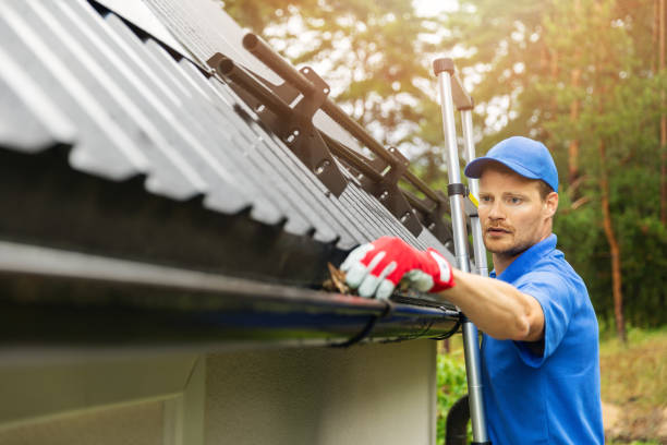 Gutter Cleaning in Camberwell: Protect Your Home and Business from Blockages