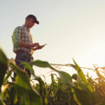 Iowa Farm Crop Insurance: A Complete Guide For Farmers