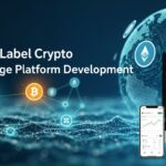 Binance Clone Script: The Fastest Way to Launch a Crypto Exchange