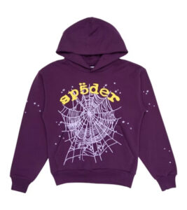 Sp5der Acai Hoodie vs Pink Hoodie — Which Sells Out First?