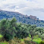 Investing in Paradise: Best Apartments for Sale in Rhodes for High Returns